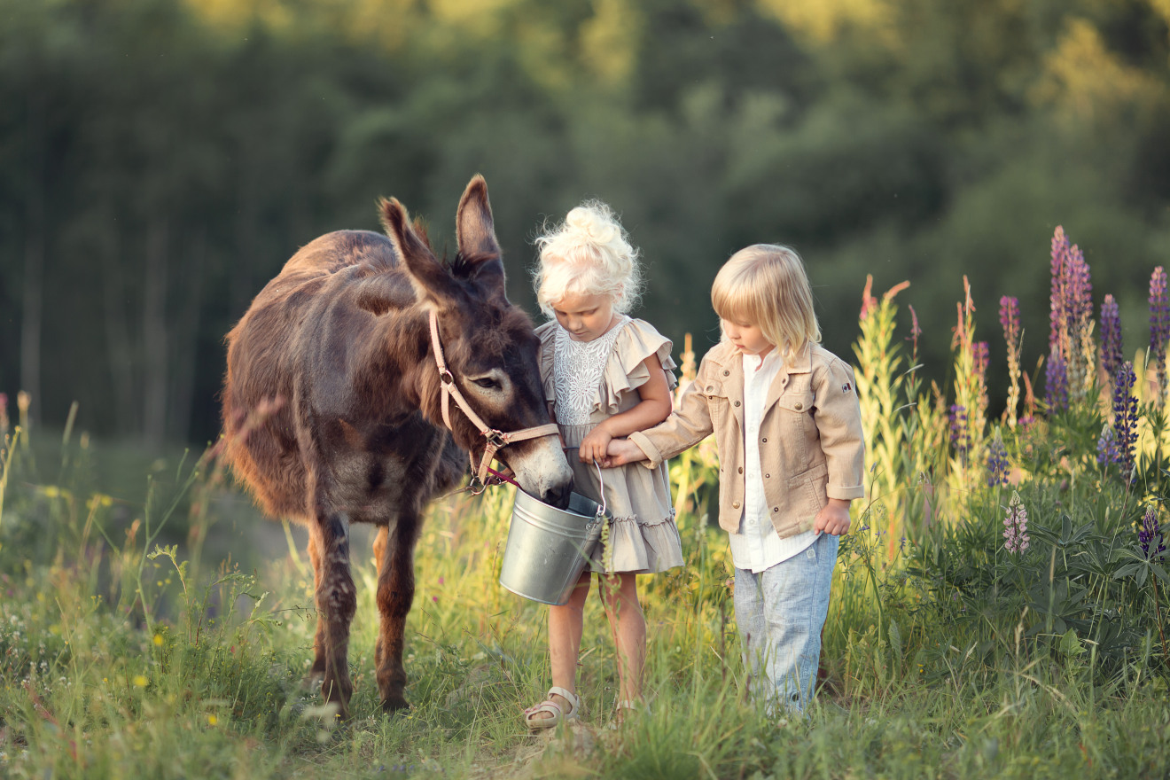 denk-mit-kita-kinder-dorf-erfahrung