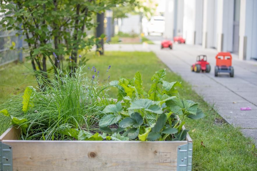 Hochbeet im Garten der Denk mit Kita Gilching