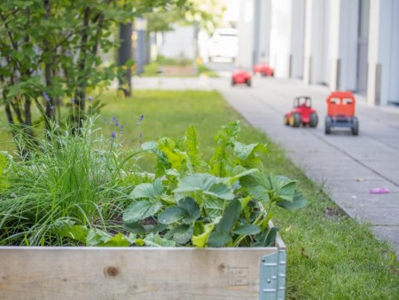 Hochbeet im Garten der Denk mit Kita Gilching